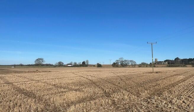 Main image of property: 12.11 Ha (29.92 Ac) Arable Land/Woodland, Church Farm Road, East Ruston , Norwich , Norfolk, NR12