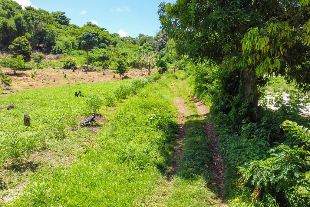 Land for sale in St Davids, Grenada