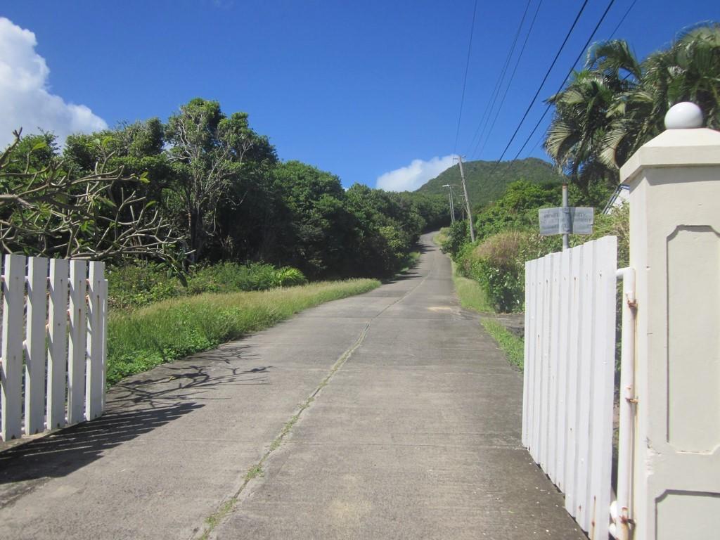 Land for sale in St Patricks, Grenada