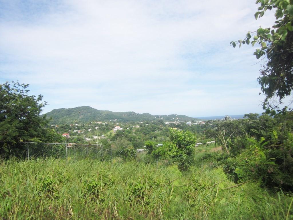 Land for sale in St Patricks, Grenada