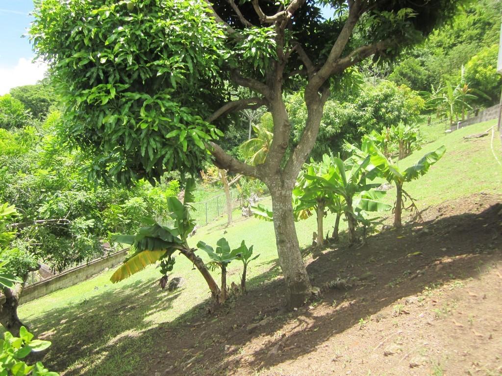 3 bedroom detached house for sale in St Patricks, Grenada