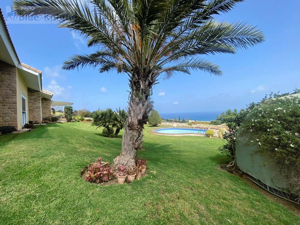 Main image of property: Paphos, Neo Chorio