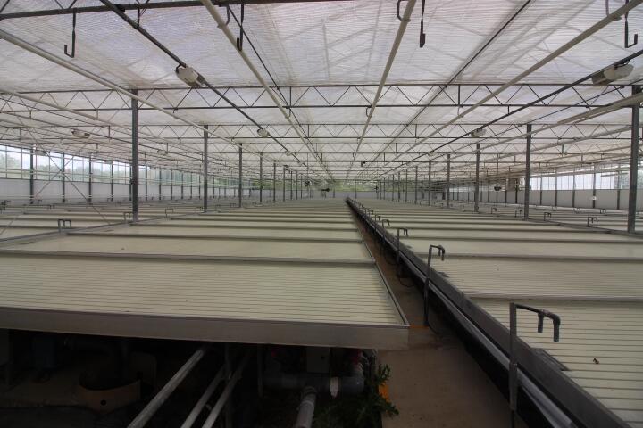 Main image of property: Harlow Nursery, Vicarage Lane, North Weald, Epping, Essex, CM16