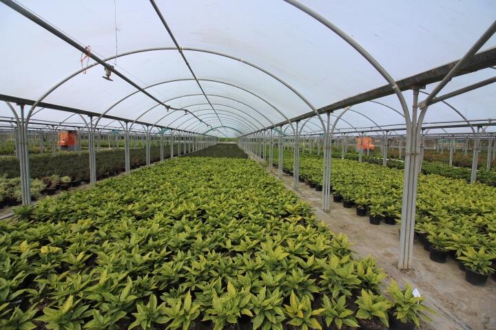 Main image of property: Highleigh Nurseries, Highleigh Road, Highleigh, Chichester, West Sussex, PO20