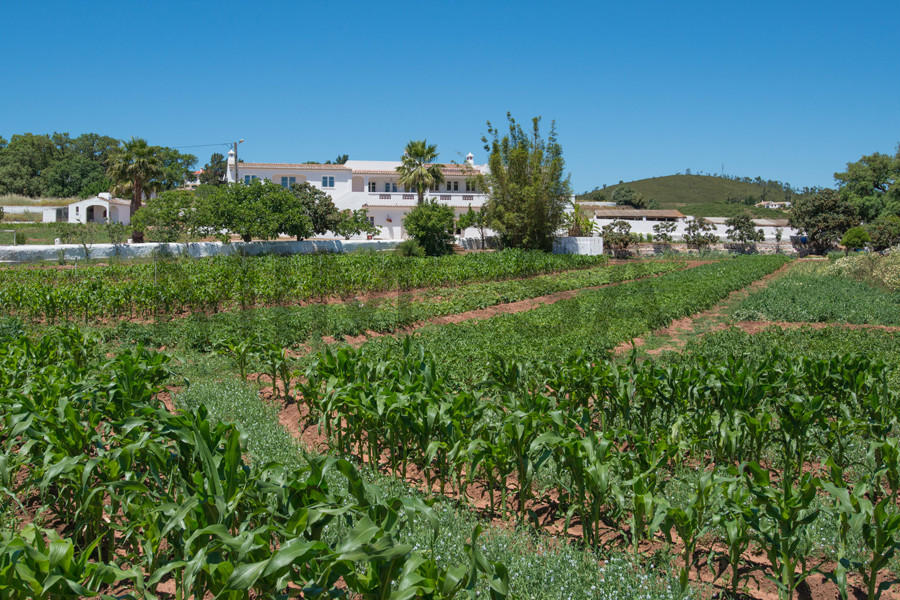 farm-for-sale-in-algarve-lagos-portugal