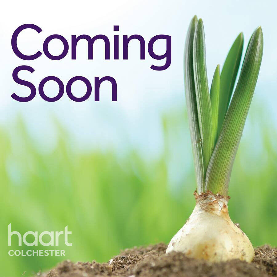 Main image of property: St Johns Street, Colchester