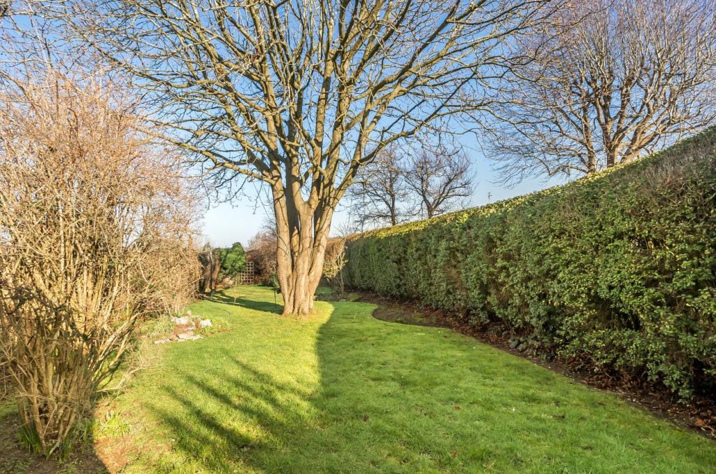 3 bedroom detached house for sale in Burpham, Guildford, Surrey, GU1