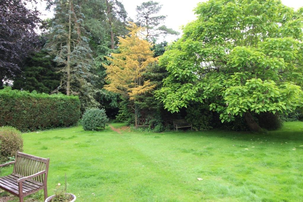 Land for sale in Maldon Road, Danbury, CM3