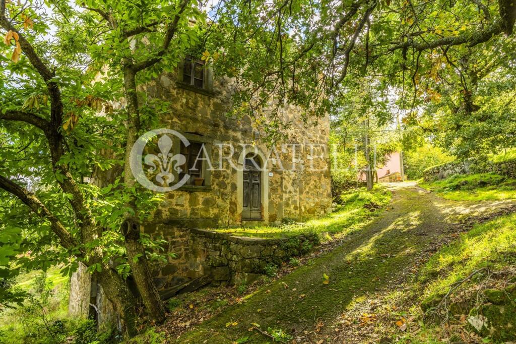 Main image of property: Tuscany, Grosseto, Arcidosso