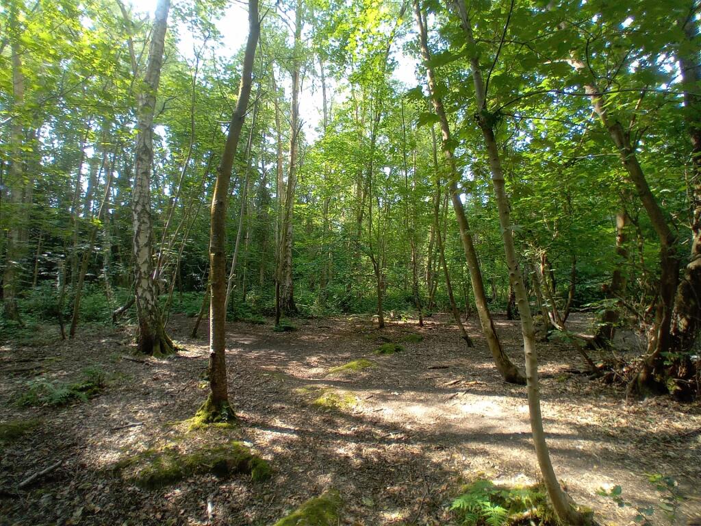 Main image of property: Larkspur View, Wokingham, RG41