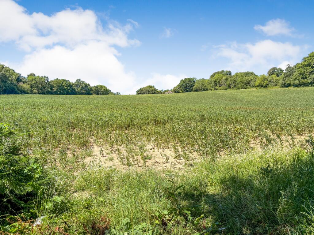 Main image of property: Riccards Lane, Whatlington, TN33