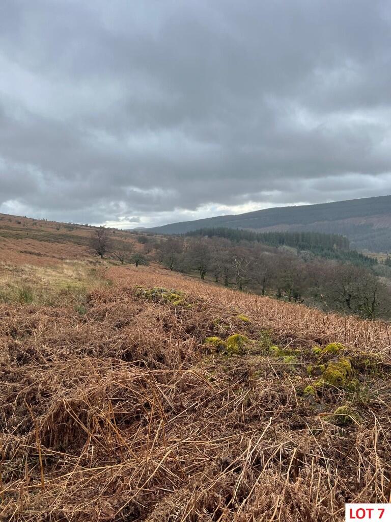 Main image of property: Land around Pont y Scib Forest Coalpit Abergavenny