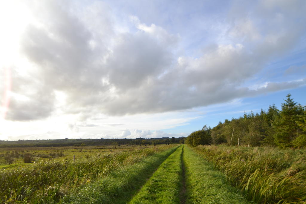 Property for sale in Annagh Bog, Churchtown, Cork, Ireland