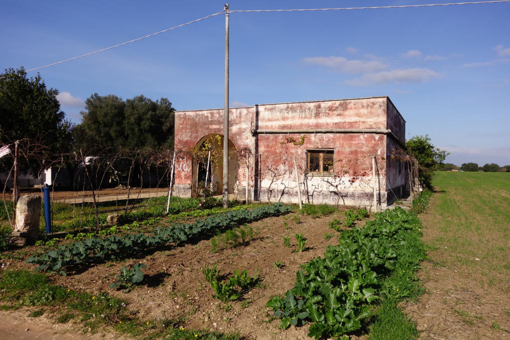 3 bedroom farm house for sale in Apulia, Brindisi, Brindisi, Italy