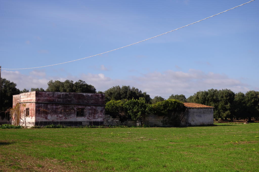 3 bedroom farm house for sale in Apulia, Brindisi, Brindisi, Italy