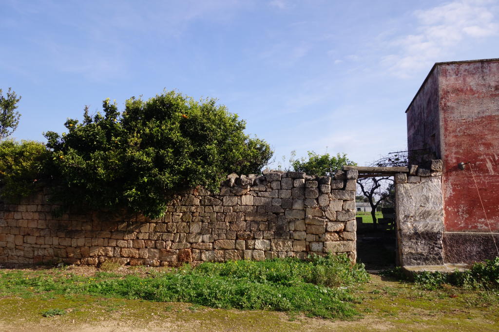 3 bedroom farm house for sale in Apulia, Brindisi, Brindisi, Italy