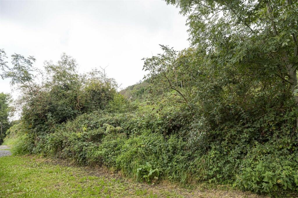 Land for sale in Land To The East and North Of Y Goedwig, Cardiff Road
