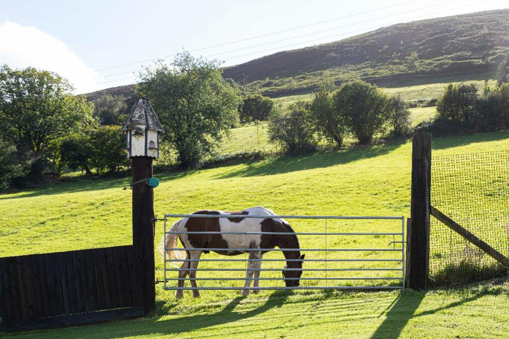 Additional property image - Ty'R-y-Wen Farm, Bedlinog, Treharris