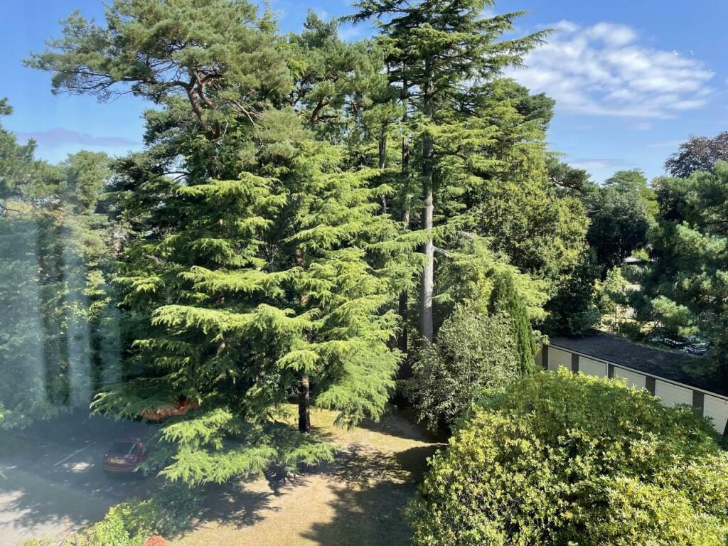 Additional property image - Wilderton Road, Branksome Park