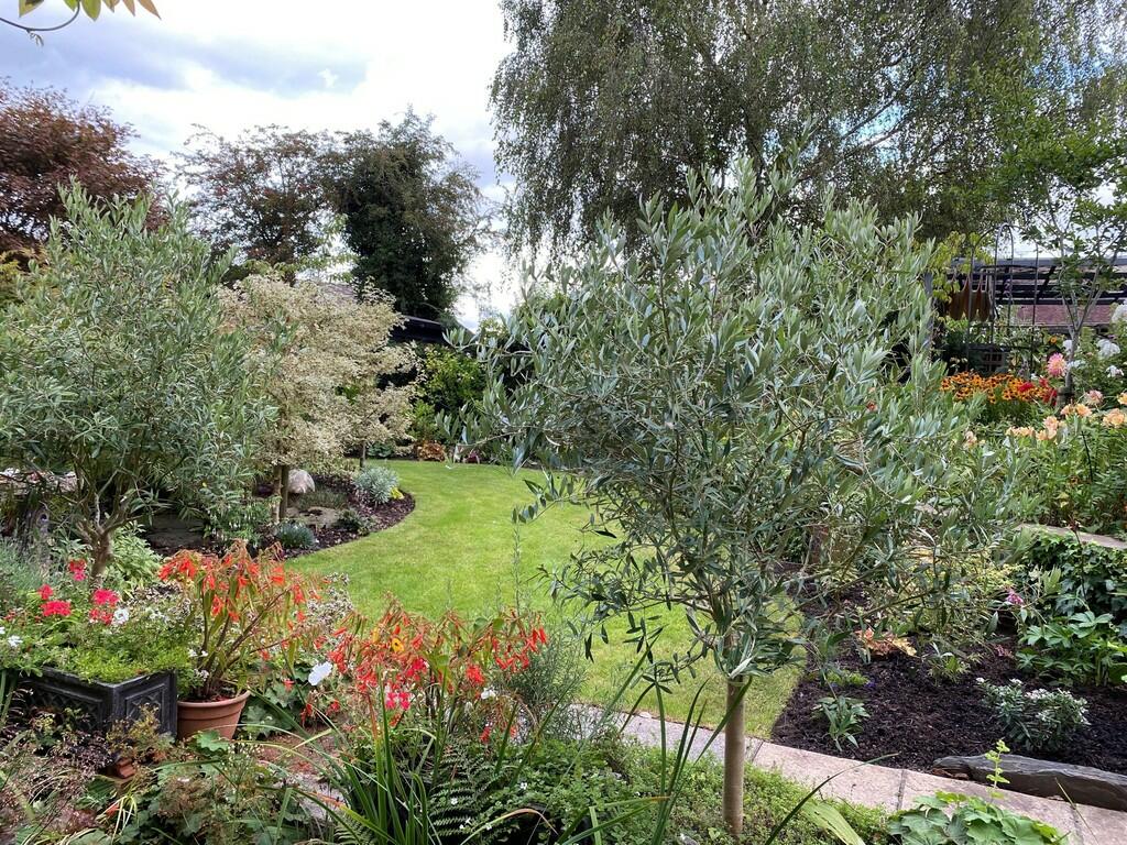 Additional property image - New Row, Draycott-in-the-clay