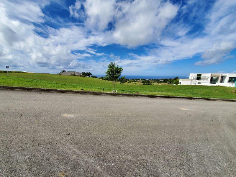 Main image of property: Apes Hill, St James