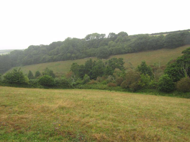 Main image of property: Chillington, Kingsbridge