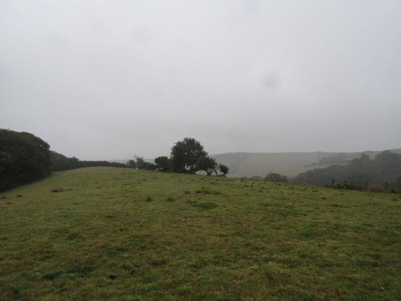 Main image of property: Chillington, Kingsbridge