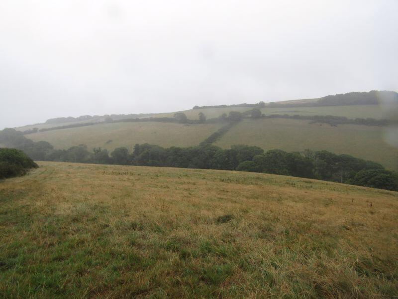 Main image of property: Chillington, Kingsbridge