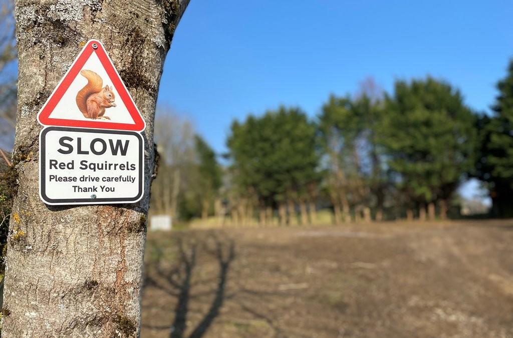 Residential development for sale in Camsernay Plot, Camserney, By