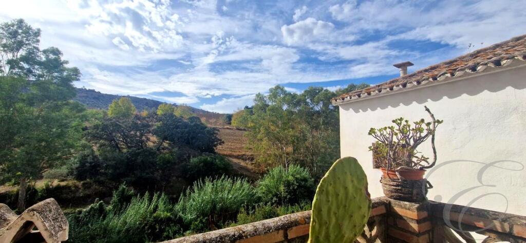 Main image of property: Andalucia, Malaga, RÃogordo