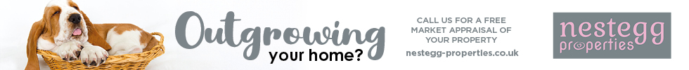 Get brand editions for Nestegg Properties, Wigston & Aylestone