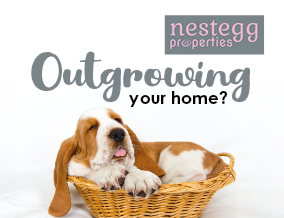 Get brand editions for Nestegg Properties, Wigston & Aylestone