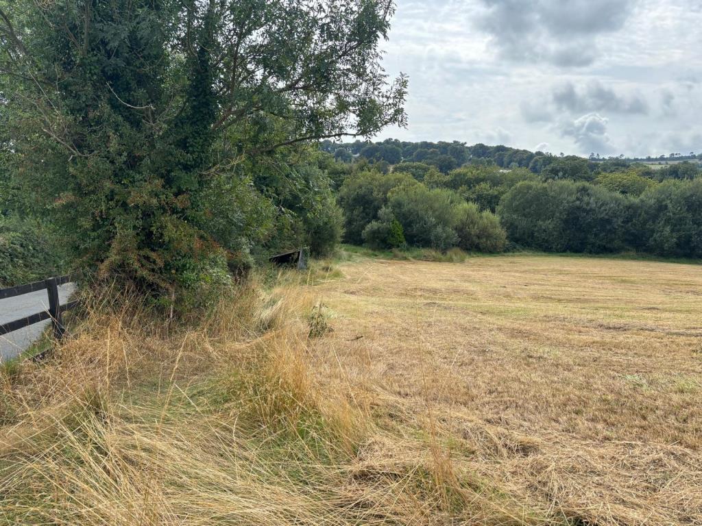 Main image of property: Land at Annagh Middle, Gorey, County Wexford