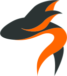 Flying Fish Properties logo