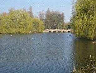 Additional property image - Riverside Road, Sidcup, DA14