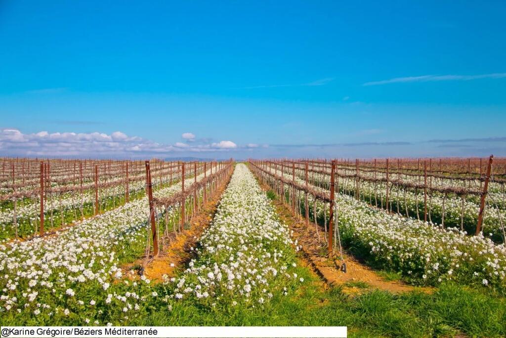 Main image of property: Languedoc-Roussillon, Hérault, Béziers