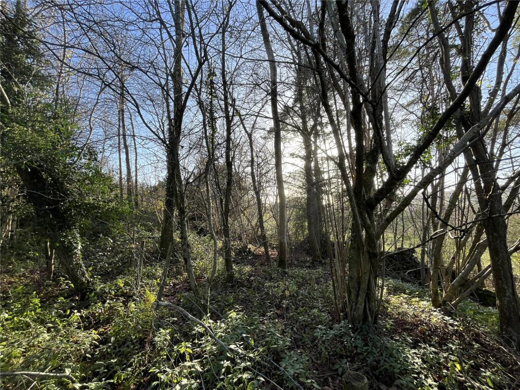 Main image of property: Amenity Land At Witherslack, Bleacrag Road, Witherslack, Cumbria