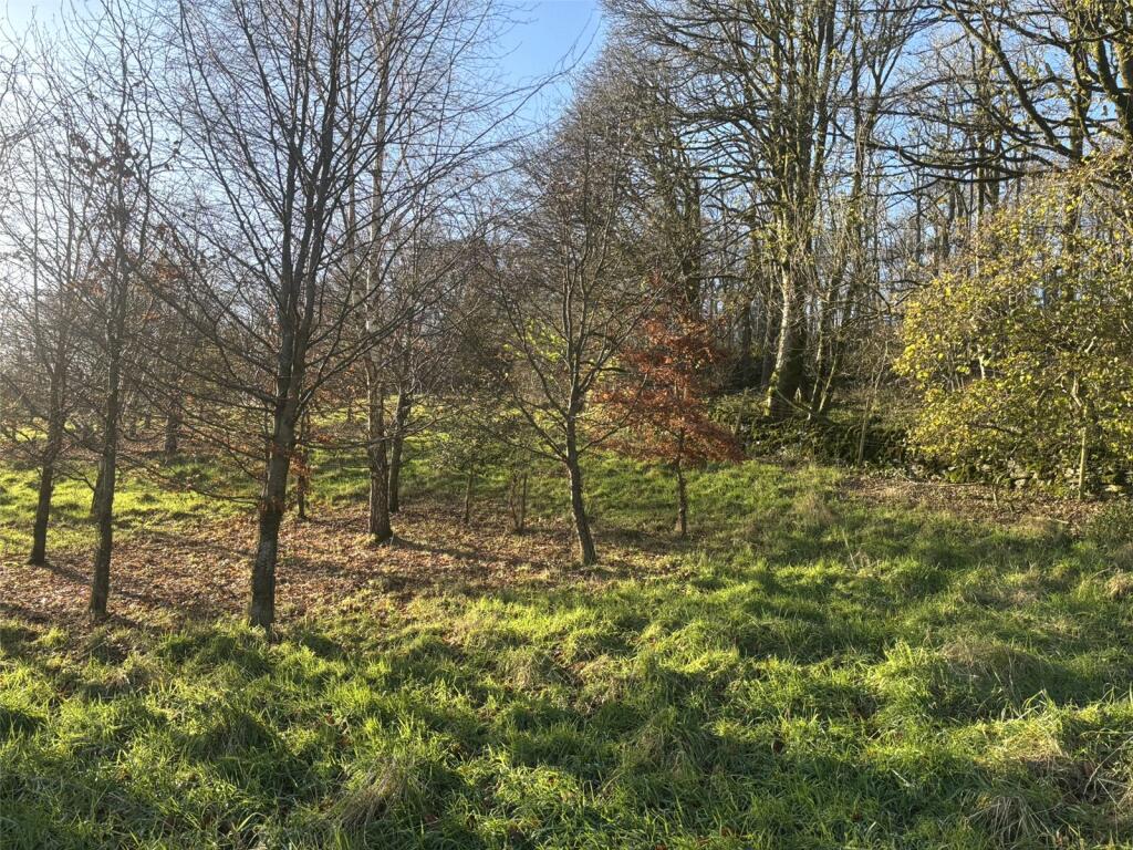 Main image of property: Amenity Land & Woodland - Lot 2, Lindale, Grange-Over-Sands, Cumbria