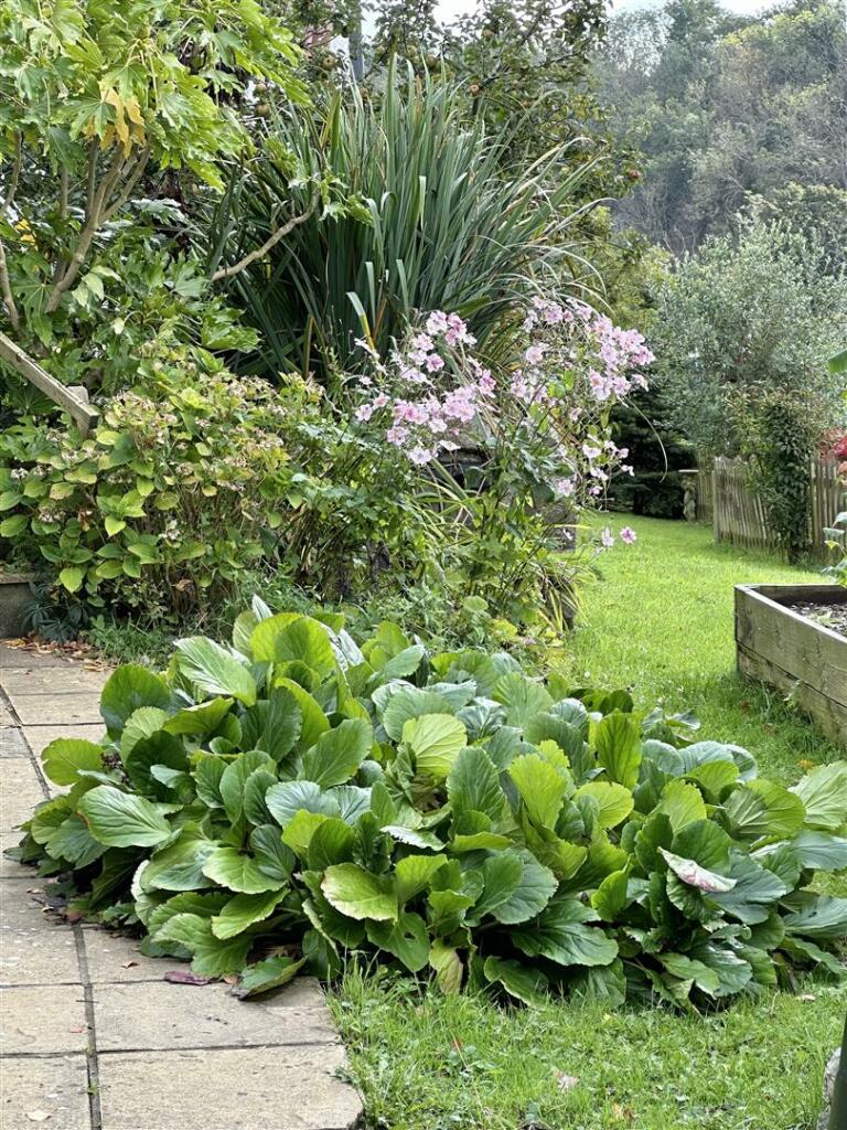 Additional property image - Tuttors Hill, Cheddar