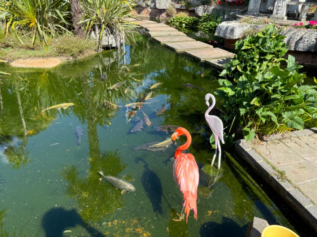 Additional property image - Fox Hunter Park, Monkton, CT12 4JG, Kent, CT1
