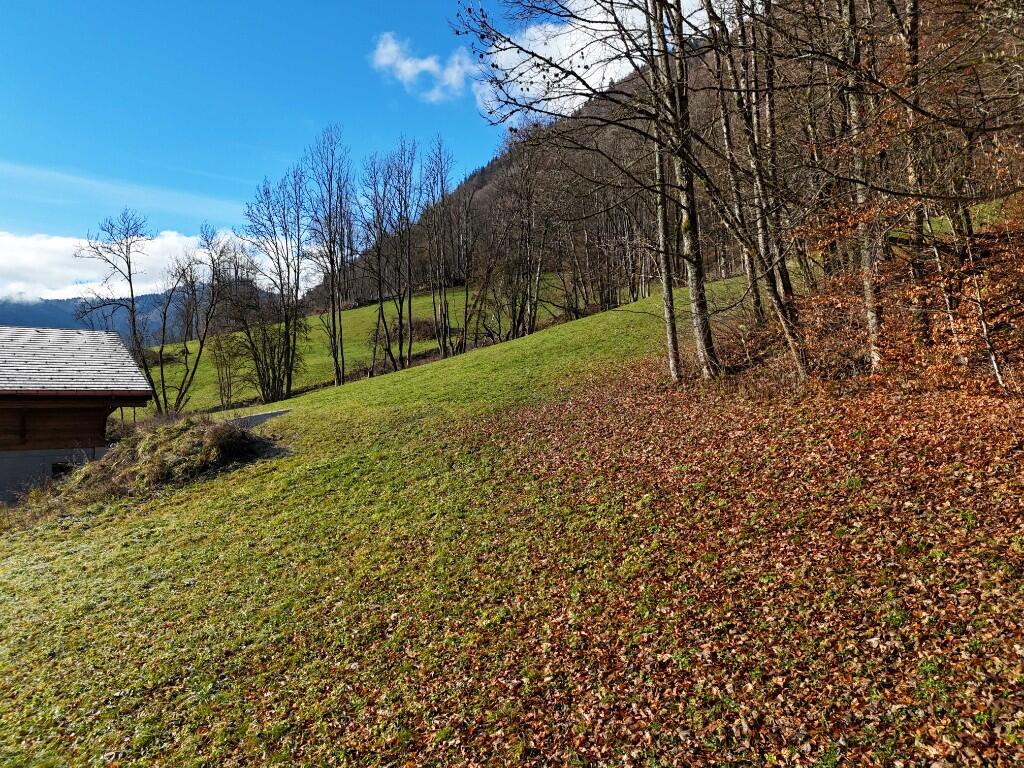 Main image of property: Montriond, Haute-Savoie, Rhone Alps
