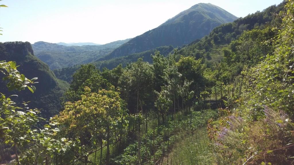 4 bedroom town house for sale in Bagni di Lucca, Lucca, Tuscany, Italy