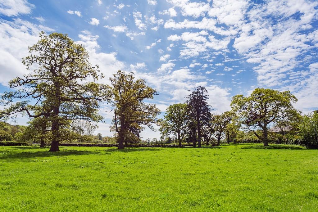 7 bedroom country house for sale in Carlow, Carlow, Ireland