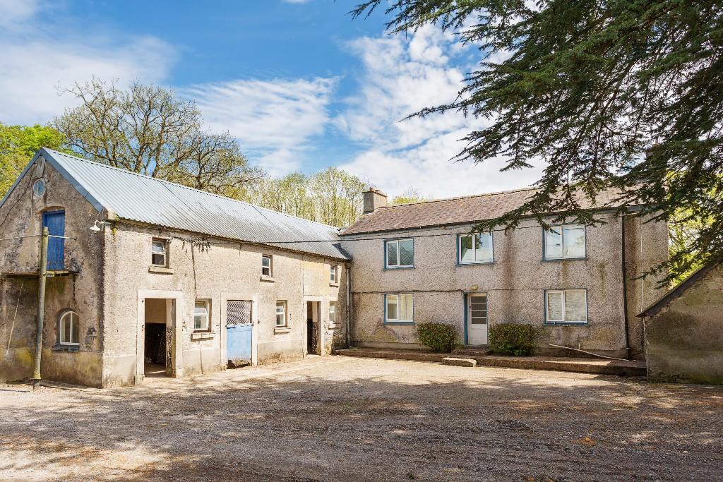 7 bedroom country house for sale in Carlow, Carlow, Ireland