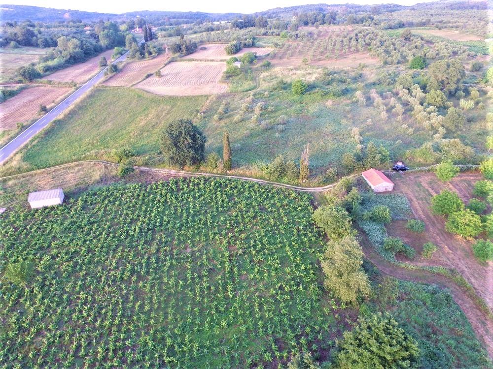 Farm house for sale in Pylos, Messinia, Peloponnese, Greece