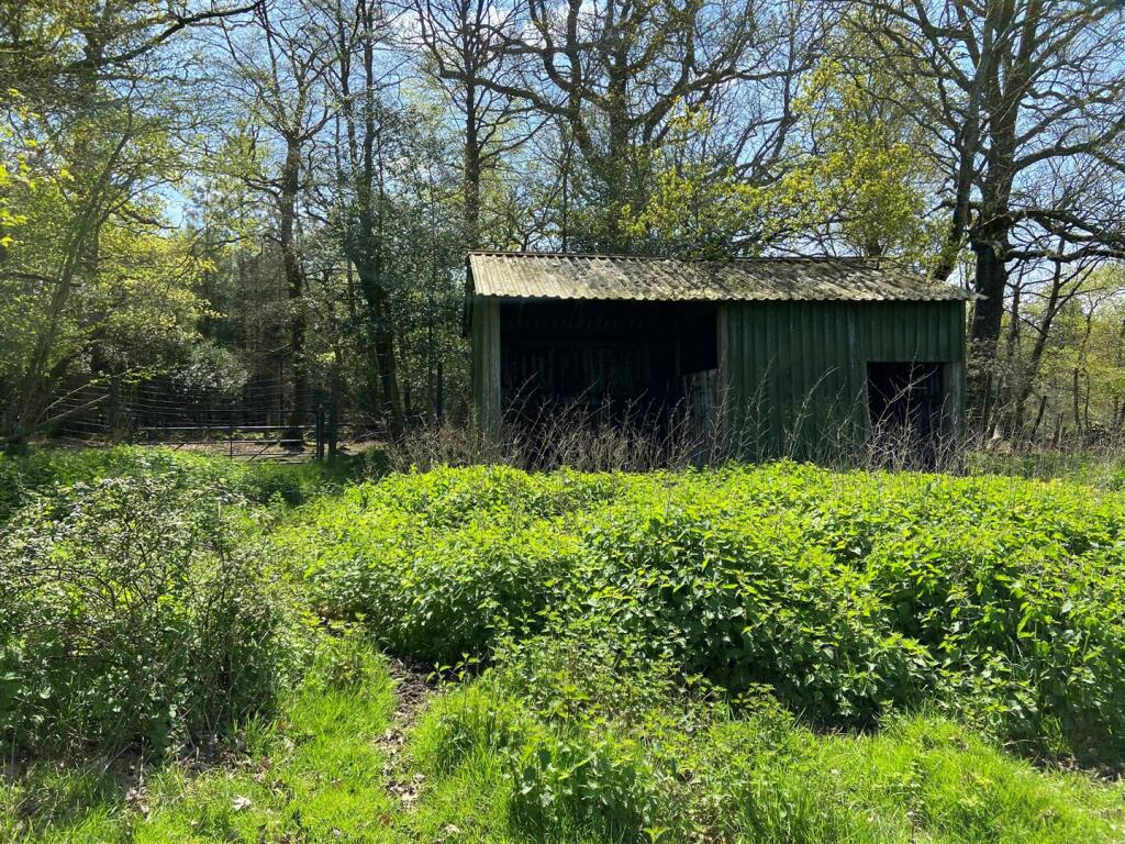 Main image of property: Fritham, Lyndhurst