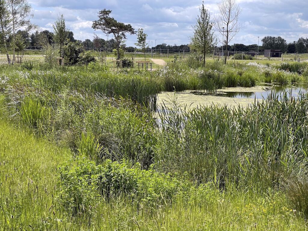 Additional property image - Plot 8, Gillyflower Lane, Waterbeach, Cambs, Waterbeach, Cambridge, Cambridgeshire, CB25 9QN