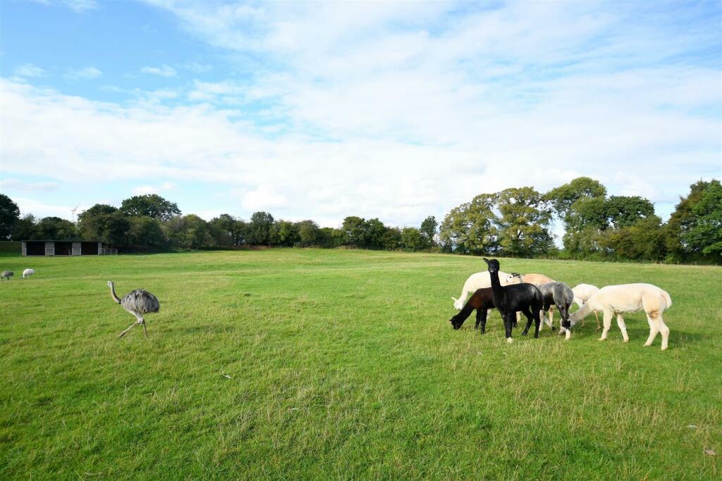 Additional property image - The Pump House, New Gate Court, Main Road, Anslow, DE13