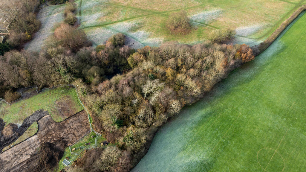 Additional property image - Woodland to the rear of, Peasehill, Ripley, Derbyshire DE5 3JN