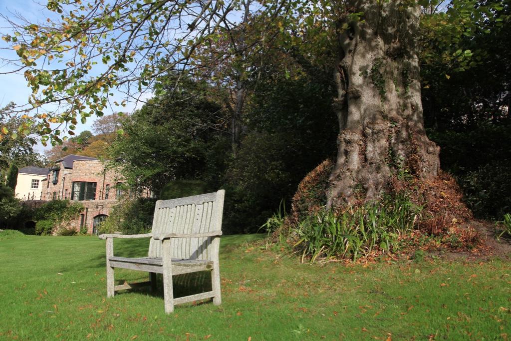 12 bedroom house for sale in Enniskerry, Wicklow, Ireland